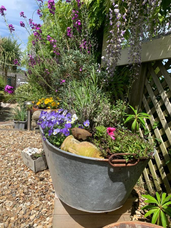 Stargazy Garden Apartment Hayle Exterior photo