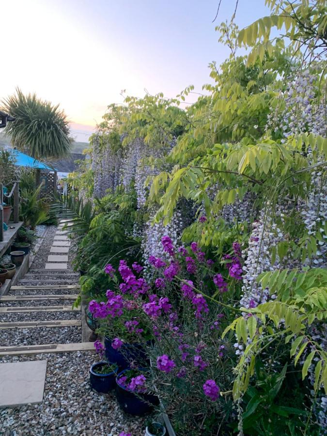 Stargazy Garden Apartment Hayle Exterior photo